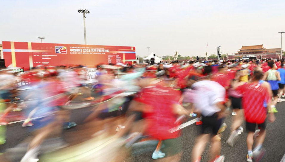 米兰体育彩票安全性与风险评估